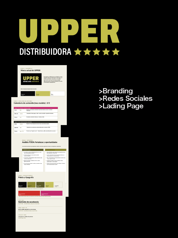 Sistema de branding de Upper Distribuidora: logo, calendario de contenido, análisis FODA y paleta tipográfica